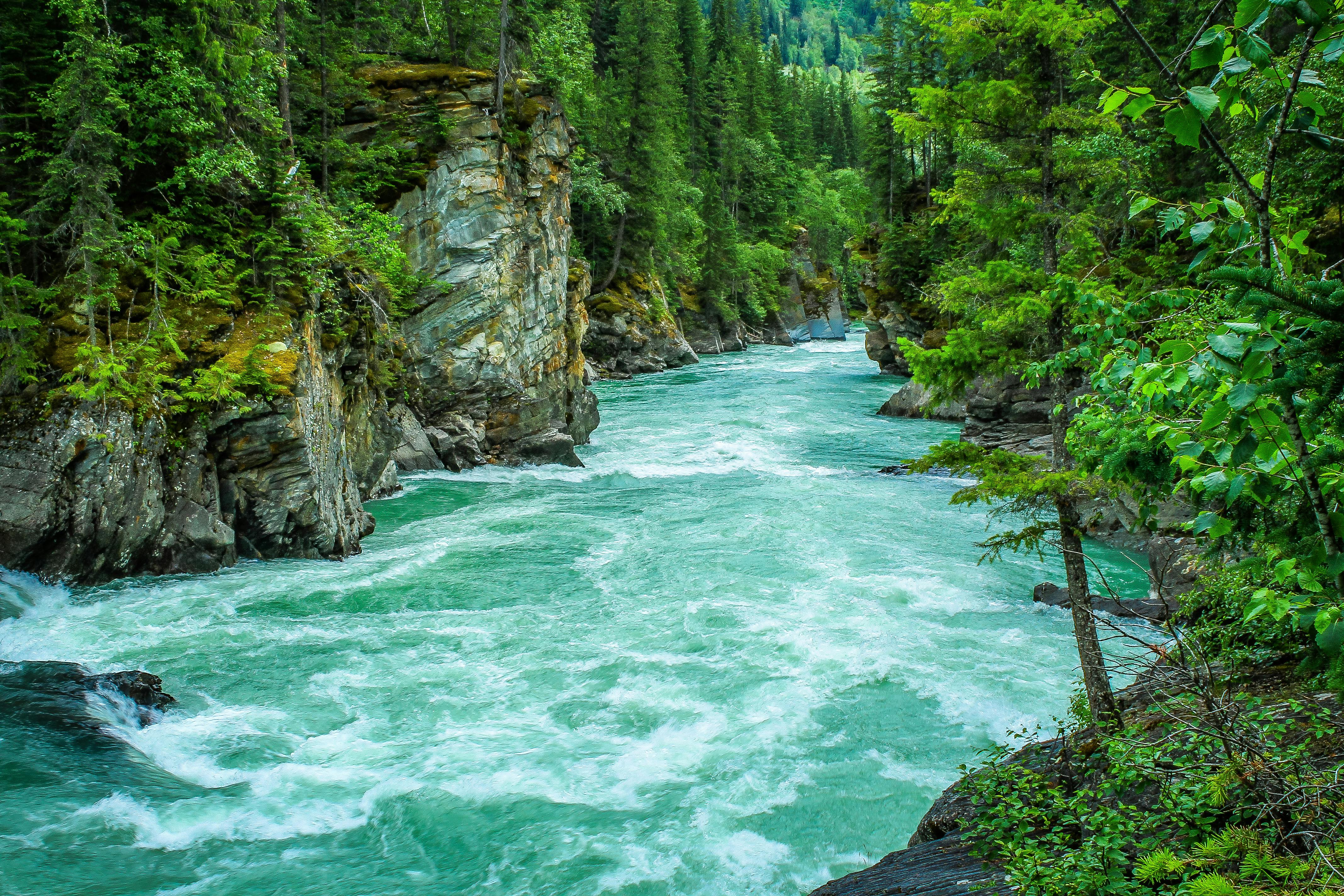 Nature Image