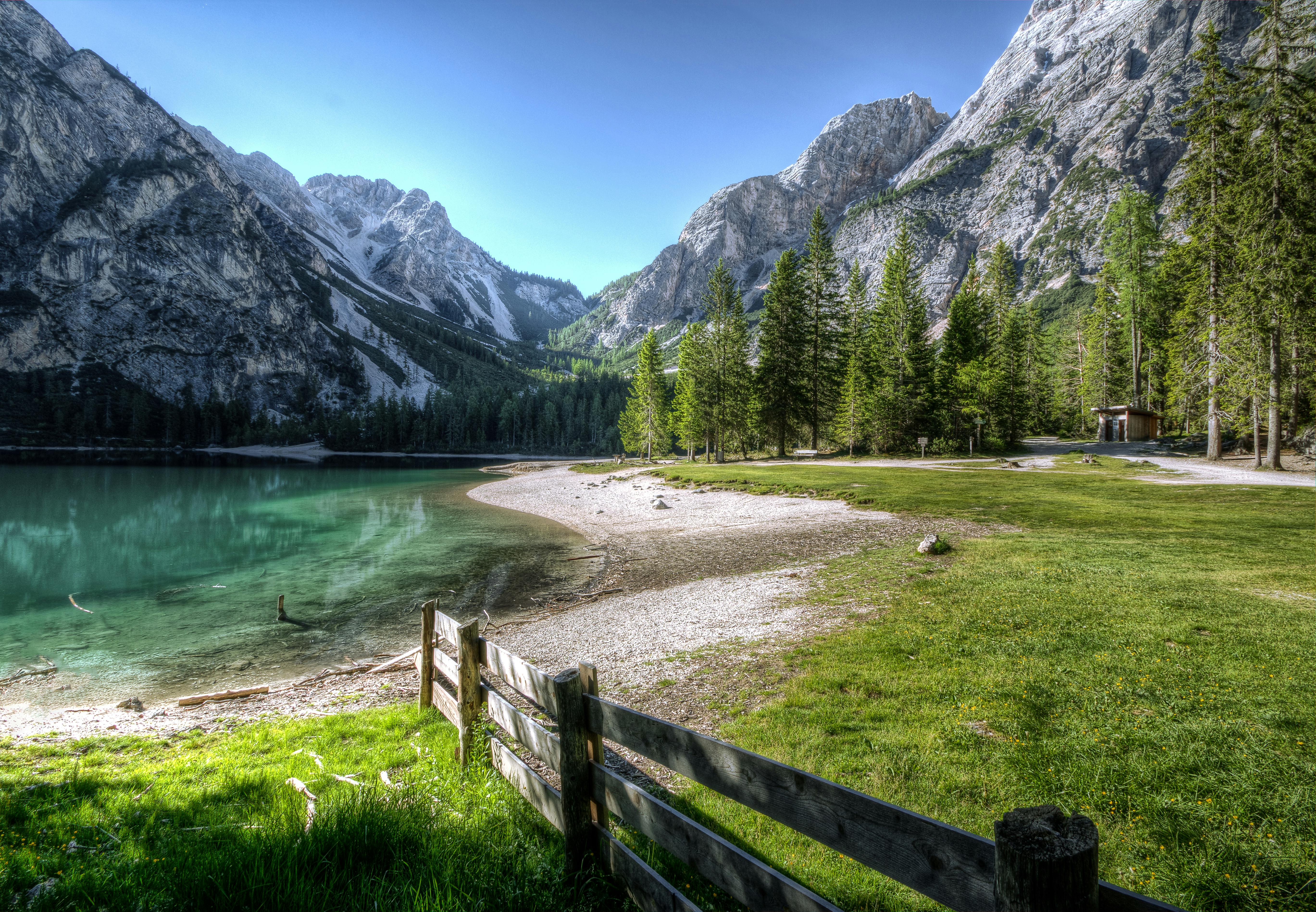 Nature Image